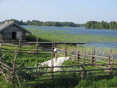 214 Landschaft, Vogelscheuche.JPG